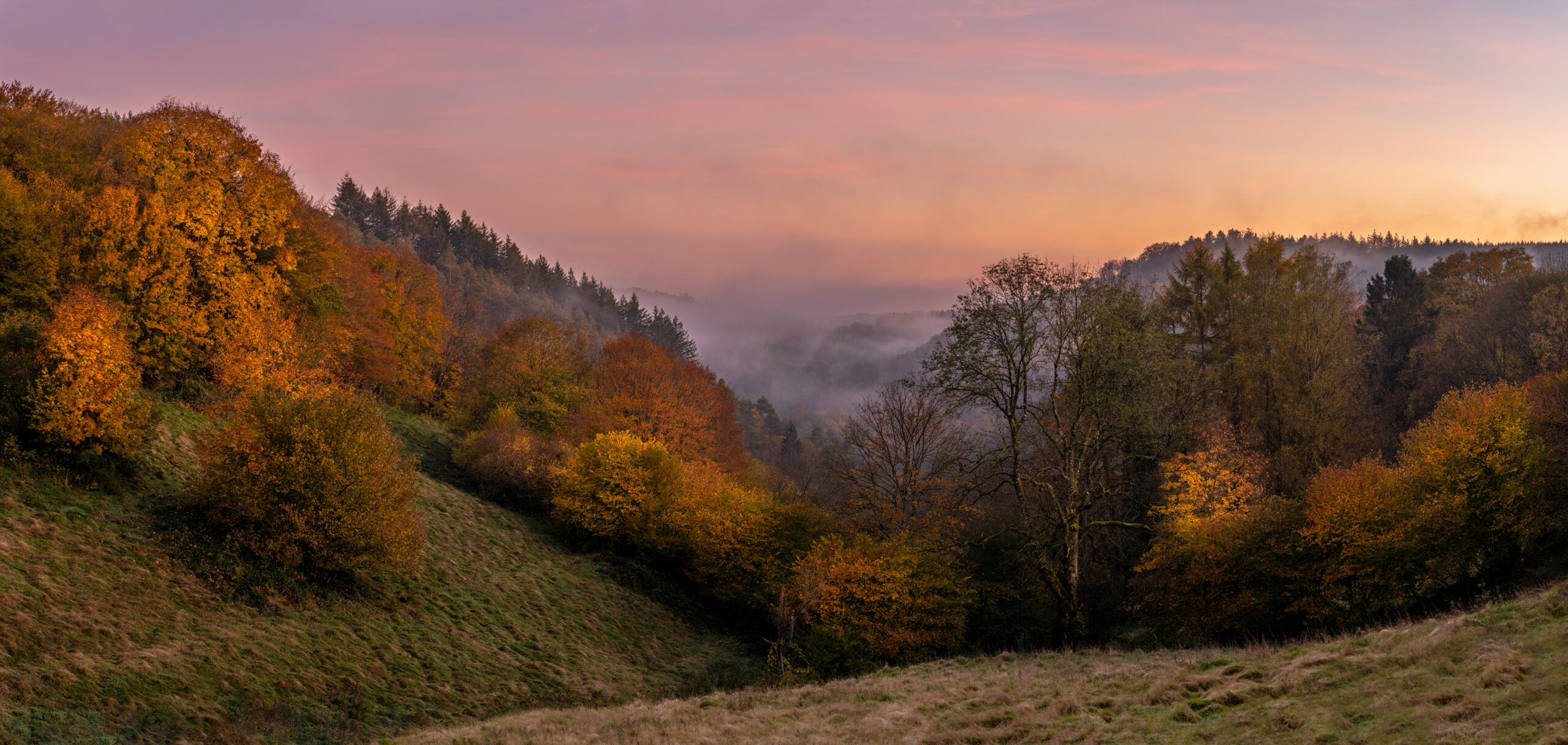 Autumn fog rising