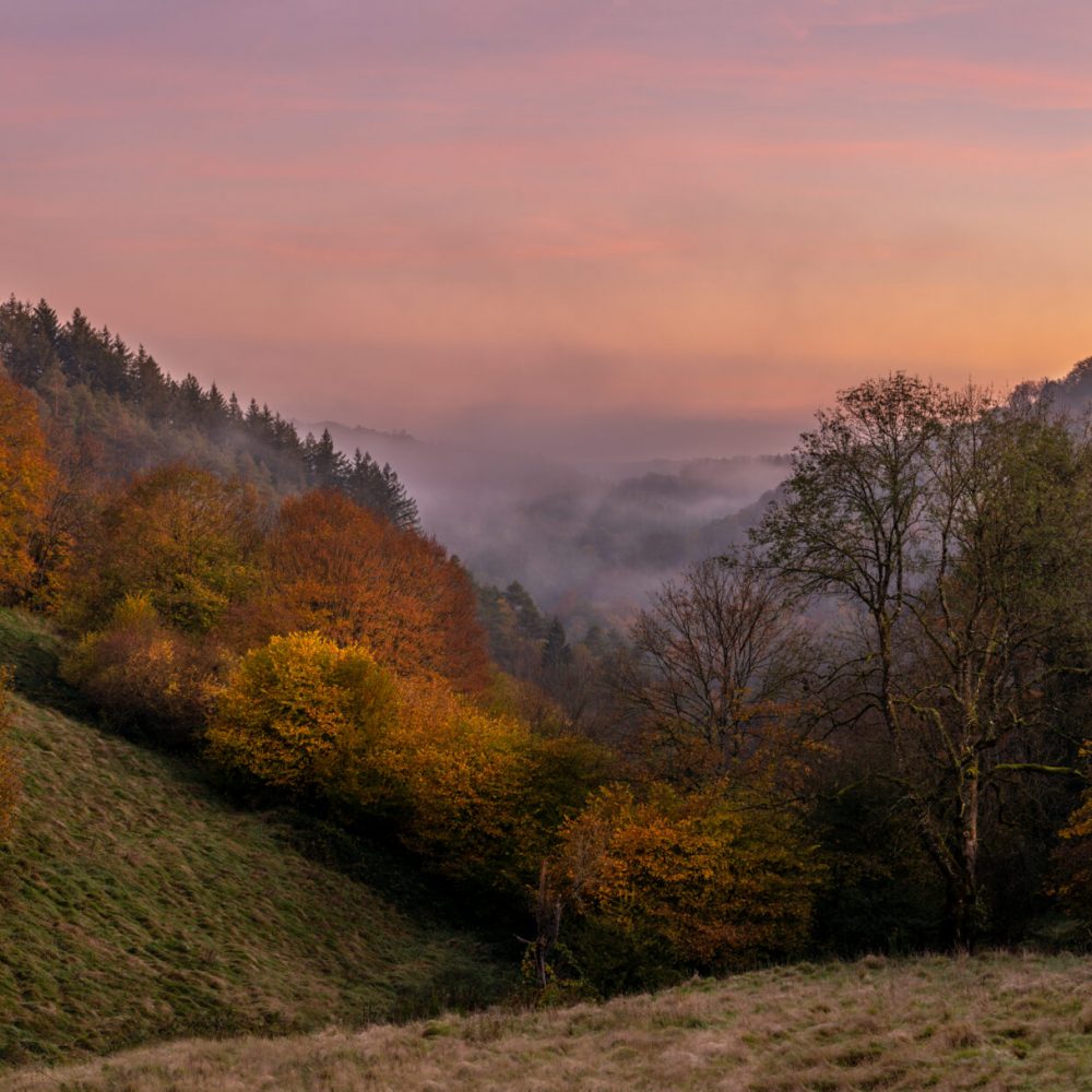 Autumn fog rising