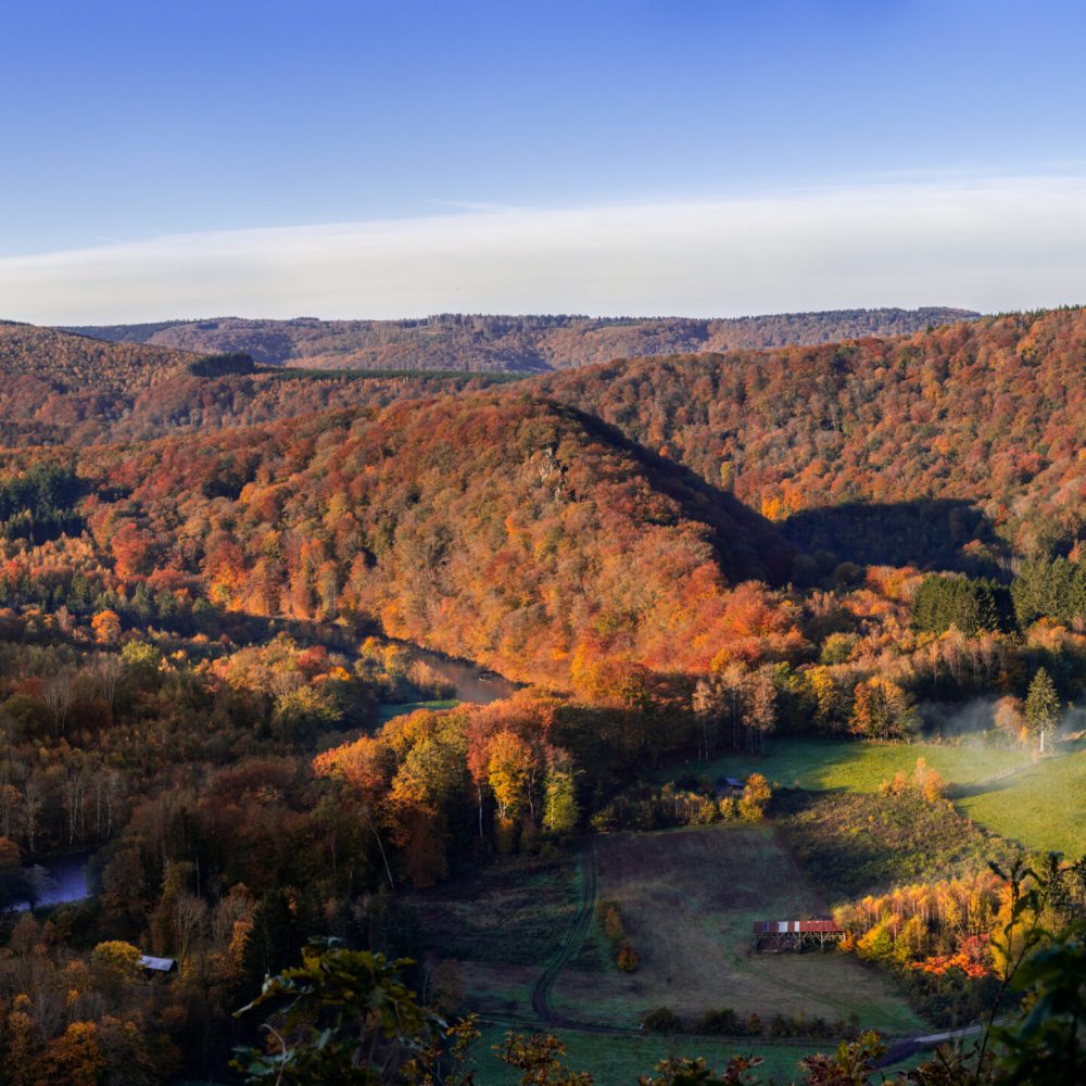 Point de vue du Jambon