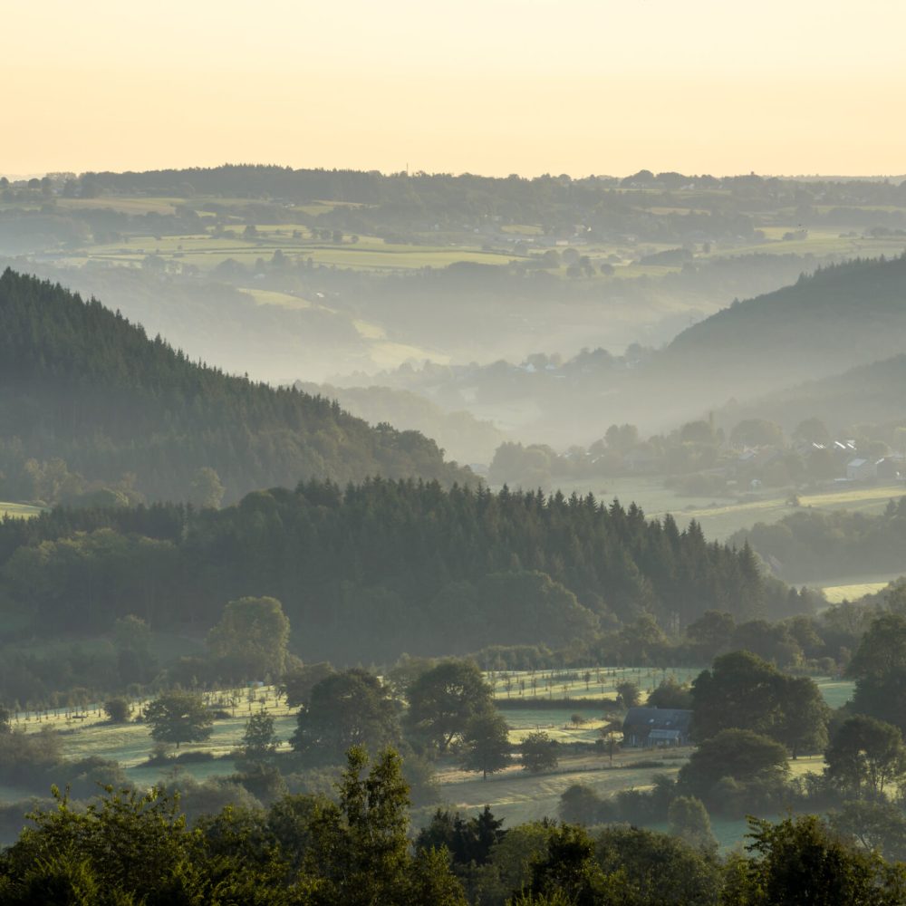 View Les Ardennes